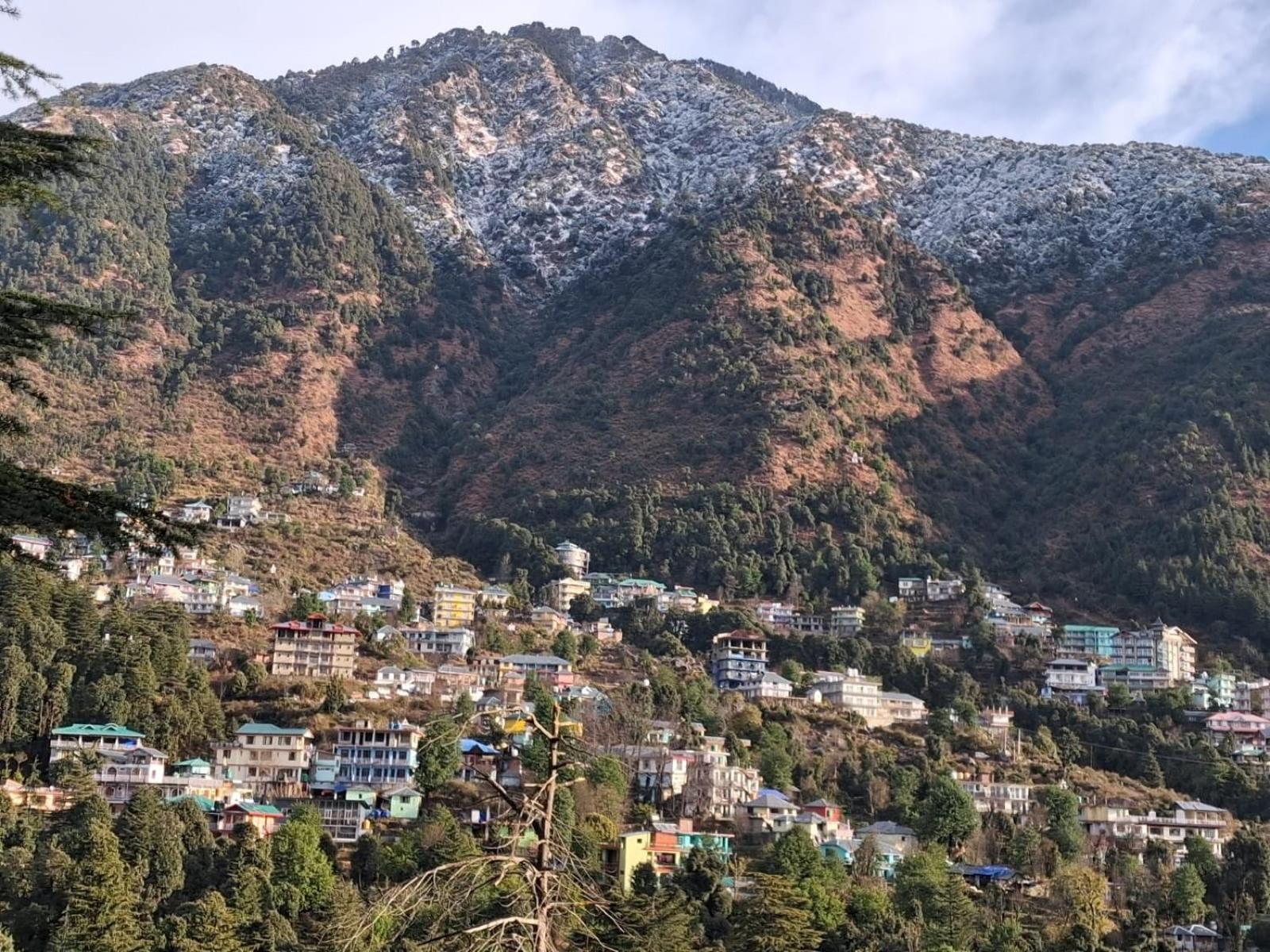 Cloudchat Dharamshala Dış mekan fotoğraf